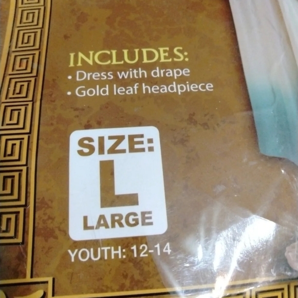 Costume - Picture 3 of 3